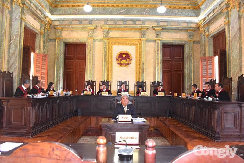 TAND TP.HCM mở phiên toà Giám đốc thẩm đầu tiên sau hợp nhất